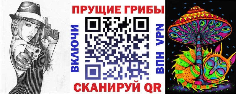 сколько стоит  Котлас  blacksprut онион  Галлюциногенные грибы Cubensis 