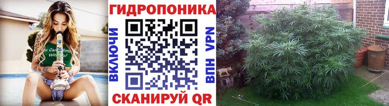 Канабис Amnesia  ОМГ ОМГ ссылка  Котлас 